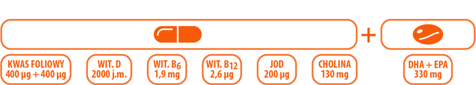 <span>Zalecana dzienna porcja do spożycia:</span><br> 1 kapsułka z witaminami i minerałami + 1 kapsułka z DHA